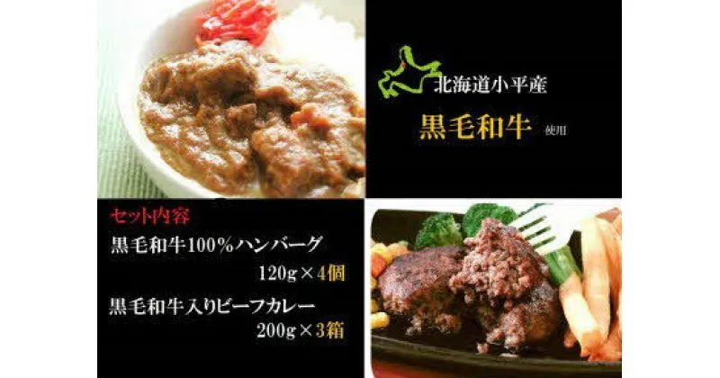 【ふるさと納税】小平牛手造りハンバーグ・ビーフカレーセット