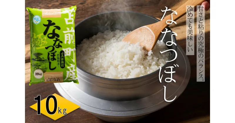 【ふるさと納税】【令和6年産・新米】北海道とままえ産ななつぼし　10kg