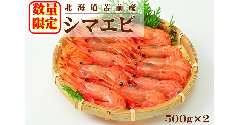 【ふるさと納税】北海道苫前産シマエビ　500g×2《数量限定》（えび・海老・ボタン・甘・イバラ・正月・海鮮・魚介類・北海道・刺身・生・ボイル・小分け・3D冷凍）