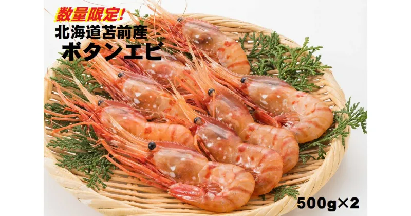 【ふるさと納税】北海道苫前産ボタンエビ　500g×2《数量限定》（えび・海老・シマ・甘・イバラ・正月・海鮮・魚介類・北海道・刺身・生・ボイル・小分け・3D冷凍）