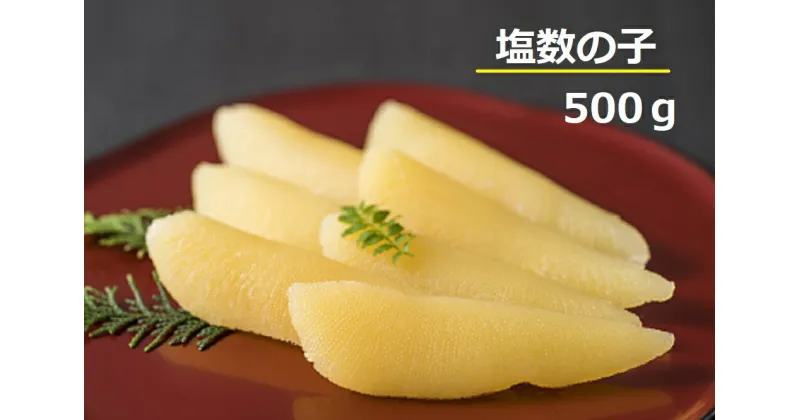 【ふるさと納税】塩数の子　500g（かずのこ・カズノコ・正月・おせち・お祝い・ニシン・にしん・鰊・つまみ・肴・魚卵・縁起物）