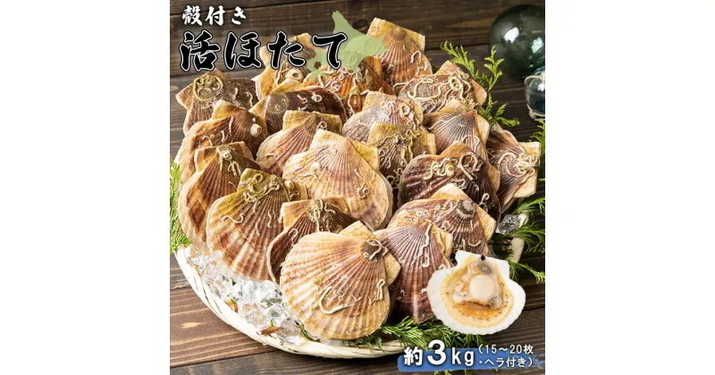 【ふるさと納税】【予約受付開始！】北海道 羽幌町産 殻付き活ホタテ 約3kg（15〜20枚・ヘラ付き） 予約 北海道 ほたて ふるさと納税 ホタテ 貝柱 刺身 殻付き バター焼き お取り寄せ ヘラ付き 羽幌町 羽幌【0910201】