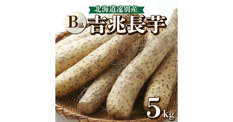 【ふるさと納税】数量限定！遠別町産　吉兆長芋（B品 5kg)　ながいも 山芋 いも とろろ 野菜 健康食品 北海道 遠別町