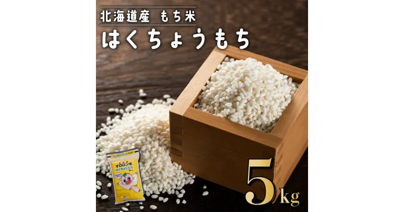 【ふるさと納税】はくちょうもち(5kg)　もち米 もち玄米 もちもち 赤飯 おこわ おはぎ おもち 北海道 遠別町