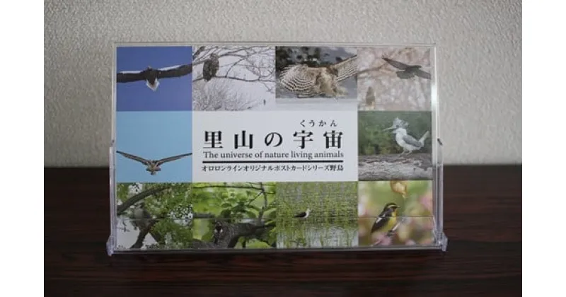 【ふるさと納税】ポストカードセット里山の宇宙【泊和幸】 自然 動物 鳥 写真 ポストカード 北海道 遠別町