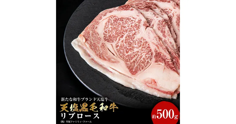 【ふるさと納税】黒毛和牛 天塩和牛 すき焼き・焼肉 用 リブロース (約500g) ＜早坂ファーム＞肉 焼肉 すき焼き 牛肉 ステーキ 北海道産 国産