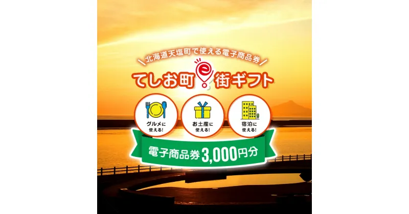 【ふるさと納税】天塩町e街ギフト　3,000円分