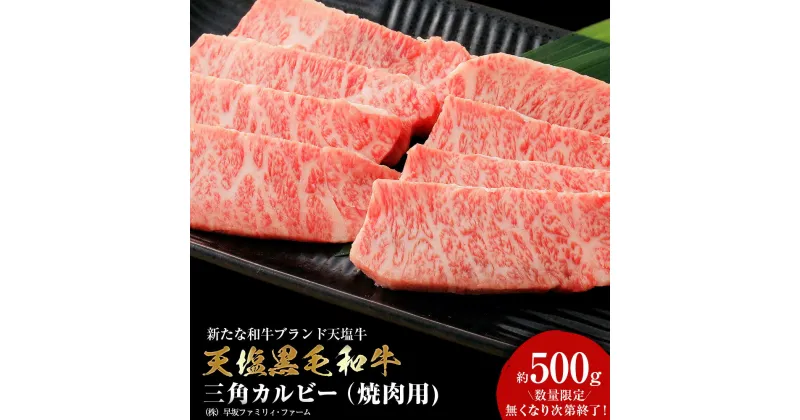 【ふるさと納税】 黒毛和牛 三角カルビ（焼肉用） 500g 牛肉 三角バラ 希少部位 貴重 上カルビ 特上カルビ 国産 北海道産