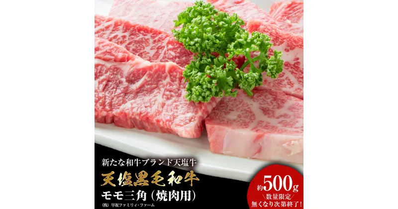 【ふるさと納税】 黒毛和牛 モモ三角（焼肉用） 500g 牛肉 三角バラ 希少部位 貴重 国産 北海道産