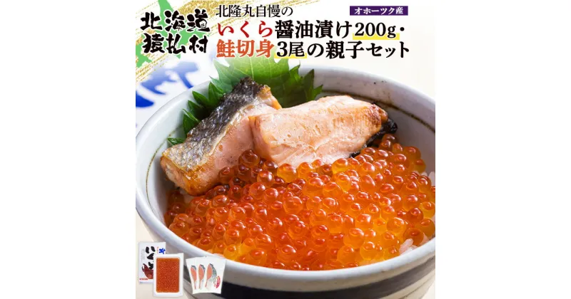 【ふるさと納税】北隆丸自慢のいくら醤油漬け200g・鮭切身3尾の親子セット オホーツク産【16002】