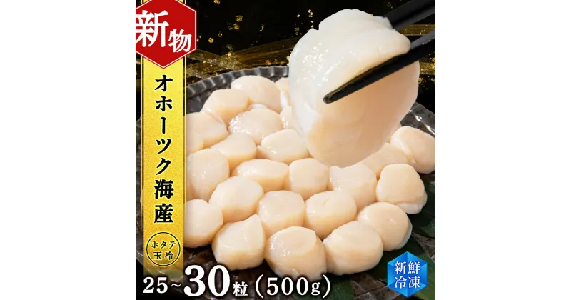 【ふるさと納税】 ホタテ 北海道産 冷凍 貝柱 500g(250g×2個セット)【頓別漁業協同組合】刺身 玉冷 むき身 オホーツク海産 小分け ギフト ほたて 帆立北海道ふるさと納税 ふるさと納税 北海道 浜頓別 通販 贈答品 贈り物 おせち