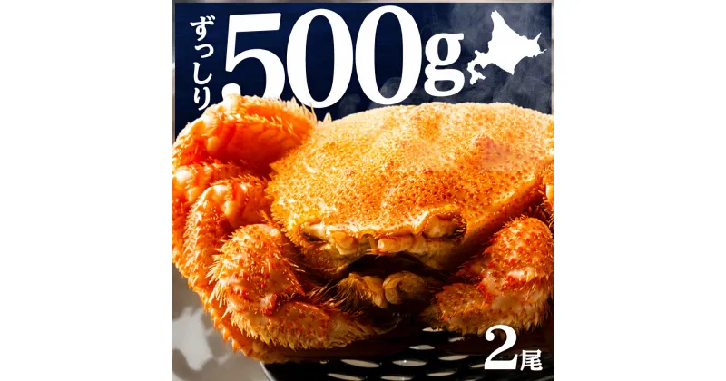 【ふるさと納税】☆北海道産 毛ガニ 約500g×2尾 セット かに 蟹 毛蟹 冷凍 北海道産 浜頓別町北海道ふるさと納税 ふるさと納税 北海道 浜頓別 通販 贈答品 贈り物