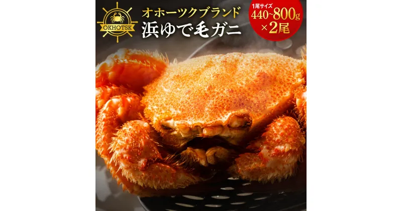 【ふるさと納税】 ☆北海道産 毛ガニ 選べる約440g～800g 2尾セット 計880g～1.6kg かに 蟹 毛蟹 冷凍 北海道産 浜頓別町北海道ふるさと納税 ふるさと納税 北海道 浜頓別 通販 贈答品 贈り物