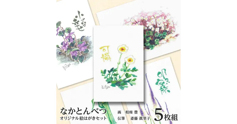 【ふるさと納税】 絵葉書 はがき オリジナル 5枚 ハガキ 可愛い ギフト 花 植物ポストカード セット 絵はがき 挨拶 手紙 ふるさと納税 北海道 中頓別町