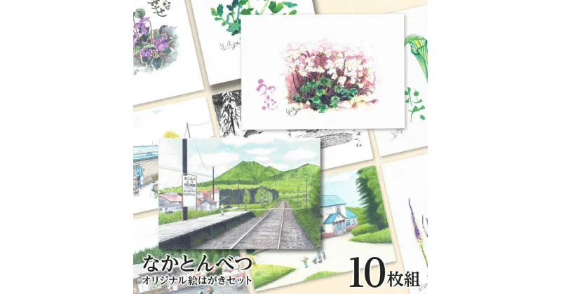 【ふるさと納税】 絵葉書 はがき オリジナル 10枚 セット ハガキ 可愛い ギフト 風景 花 植物ポストカード セット 絵はがき 挨拶 手紙 ふるさと納税 北海道 中頓別町