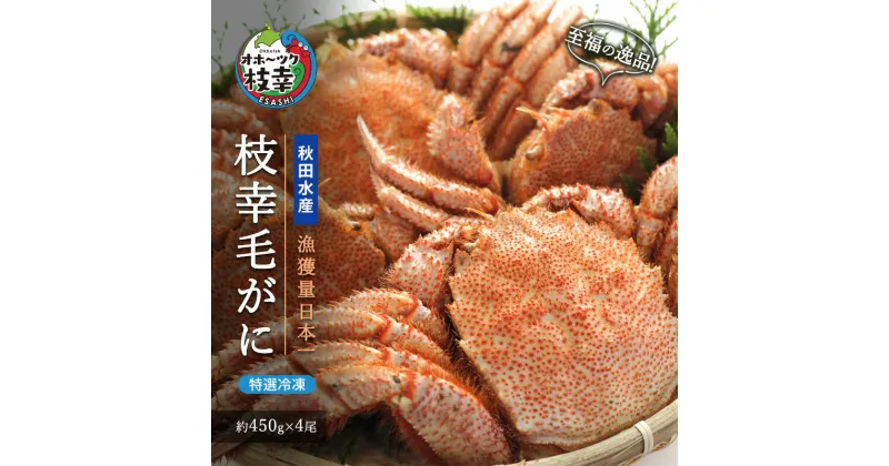 【ふるさと納税】【漁獲量日本一】至福の逸品！特選冷凍「枝幸毛がに」約450g×4尾 毛蟹 毛ガニ オホーツク 北海道　毛カニ・蟹