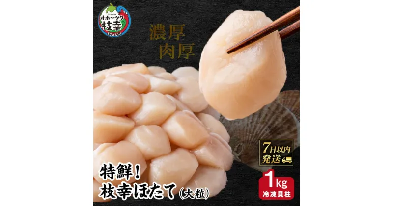 【ふるさと納税】特鮮！枝幸ほたて（大粒）冷凍貝柱1kg（S～2Sサイズ）　 ほたて 貝 海鮮 魚介 魚介類 海の幸 北海道