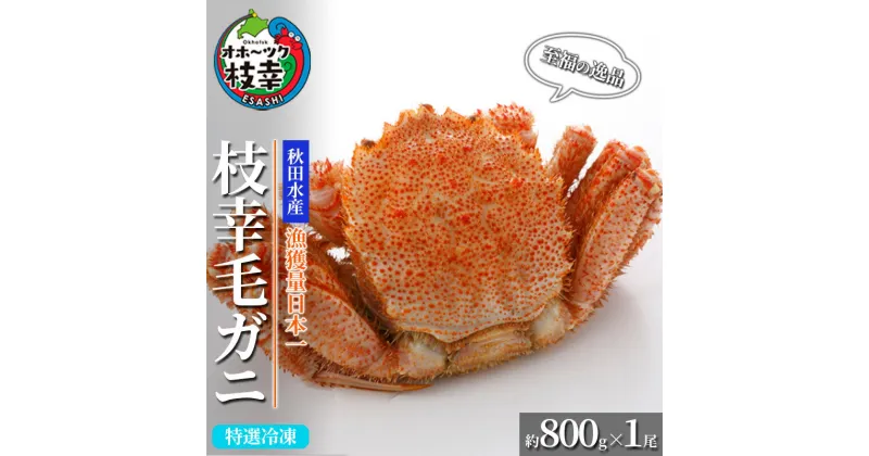 【ふるさと納税】【漁獲量日本一】至福の逸品！特選冷凍「枝幸毛がに」約800g×1尾 毛蟹 毛ガニ オホーツク 北海道　加工食品・地域のお礼の品・カタログ・毛カニ・蟹