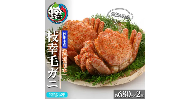 【ふるさと納税】【漁獲量日本一】至福の逸品！特選冷凍「枝幸毛がに」約680g×2尾 毛蟹 毛ガニ オホーツク 北海道　加工食品・地域のお礼の品・カタログ・毛カニ・蟹