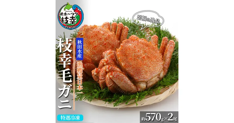 【ふるさと納税】【漁獲量日本一】至福の逸品！特選冷凍「枝幸毛がに」約570g×2尾 毛蟹 毛ガニ オホーツク 北海道　加工食品・地域のお礼の品・カタログ・毛カニ・蟹