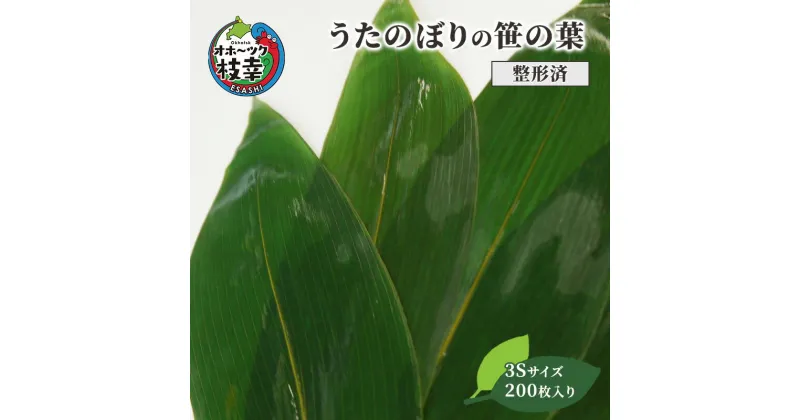 【ふるさと納税】［整形済］うたのぼりの笹の葉3Sサイズ200枚入り【オホーツク枝幸】18cm×5.5cm　雑貨・日用品・福祉用品