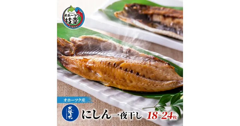 【ふるさと納税】にしん一夜干し1.8kg（18～24枚）［300g（3～4枚入）×6P］ オホーツク枝幸産　魚貝類・干物・魚貝類・漬魚・味噌漬け・魚貝類・加工食品