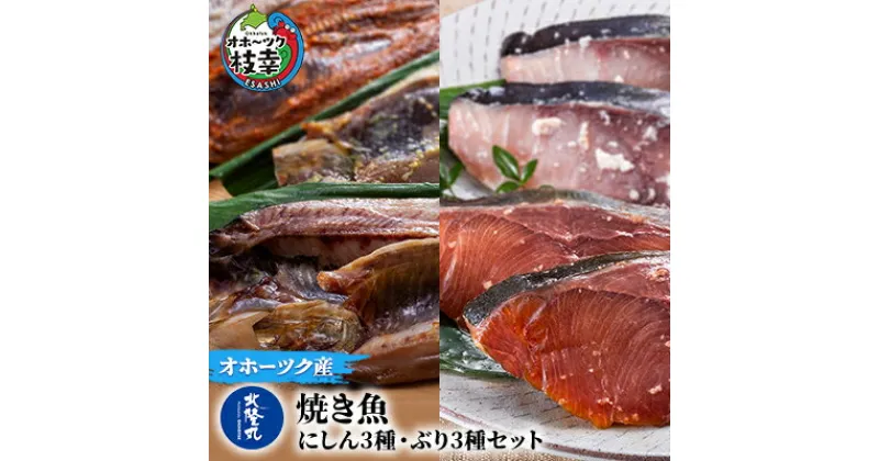 【ふるさと納税】北隆丸の焼き魚 にしん3種・ぶり3種セット（にしん一夜干×6～8枚・塩麹漬×6～8枚・西京漬×6～8枚）（ぶり塩麹漬100g×2・醤油麹漬100g×2・ぶりかま100g×2） 北海道 魚介 詰合せ　魚貝類・干物・魚貝類・漬魚・味噌漬け・魚貝類・加工食品