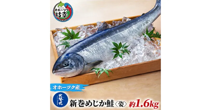 【ふるさと納税】北隆丸 新巻めじか鮭〈姿〉約1.6kg オホーツク枝幸産　魚貝類・サーモン・鮭