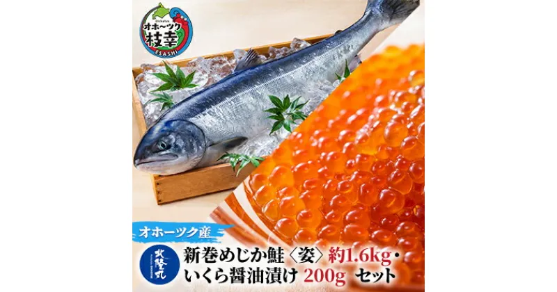 【ふるさと納税】北隆丸 新巻めじか鮭〈姿〉約1.6kg・いくら醤油漬け200gセット オホーツク枝幸産　魚貝類・サーモン・鮭・魚貝類・いくら・魚卵