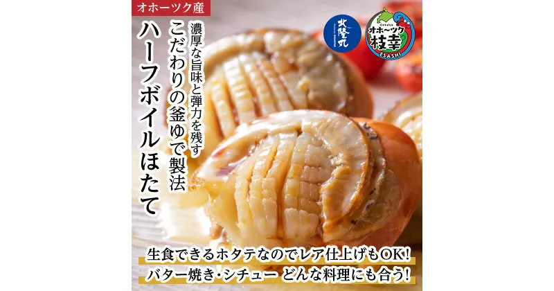 【ふるさと納税】冷凍ハーフボイルほたて500g（15～17粒）オホーツク産　魚貝類・帆立・ホタテ