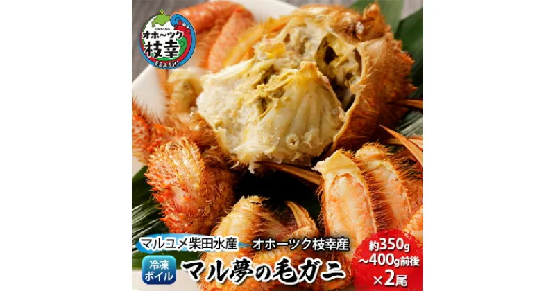 【ふるさと納税】マル夢の毛ガニ約350g～400g前後×2尾【冷凍ボイル】オホーツク枝幸産　毛カニ・蟹