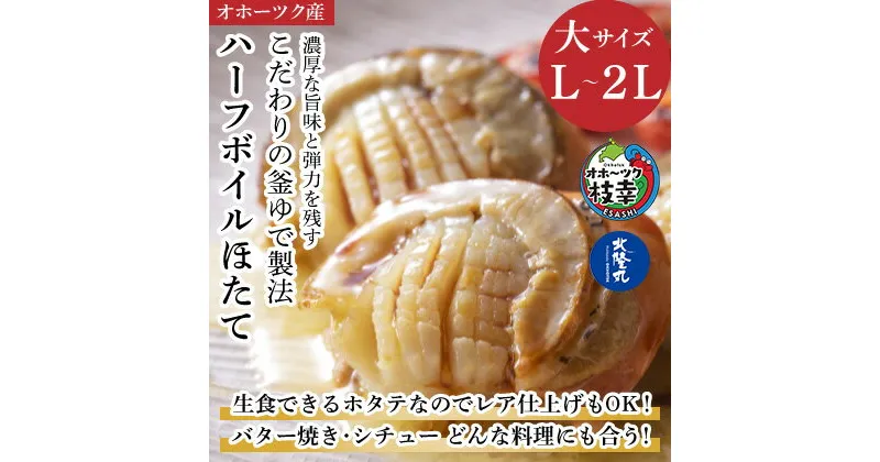 【ふるさと納税】ハーフボイルホタテ［L～2L］大サイズ500g（8～12個）オホーツク産　魚貝類・帆立・ホタテ