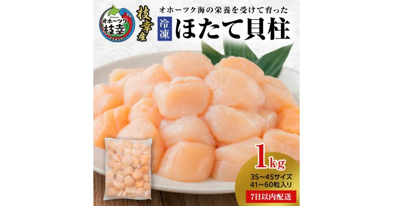 【ふるさと納税】【枝幸ほたて】冷凍ほたて貝柱1kg 枝幸水産加工業協同組合 北海道 冷凍 貝柱 刺身 大 魚介 海 オホーツク 帆立