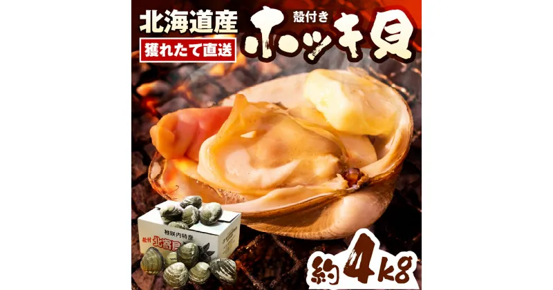 【ふるさと納税】【 数量限定 】 殻付き ホッキ貝 約4kg 約17～23個 獲れたて直送 / ホッキ 北寄 ほっき貝 北寄貝 貝 魚介類 魚貝類 海鮮 北海道産 道産 新鮮 活魚 産地直送 生 国産 とよとみ 北海道 豊富町