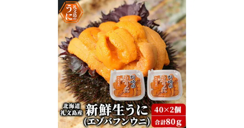 【ふるさと納税】北海道 礼文島産 新鮮生うに（ エゾバフンウニ）40g×2個 ウニ 雲丹　魚貝類 ウニ 雲丹 うに エゾバフンウニ バフンウニ 80g　お届け：2025年6月上旬～8月下旬まで