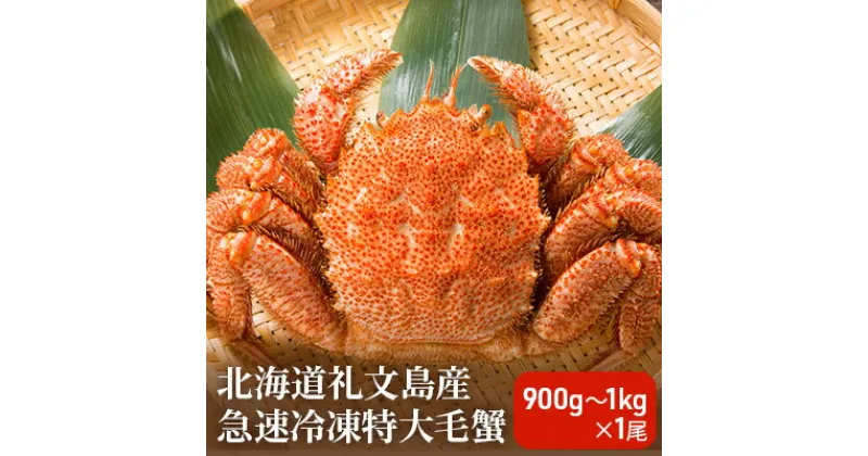 【ふるさと納税】北海道礼文島産 急速冷凍特大毛蟹（900g～1kg）1尾　毛カニ 蟹 かに カニ 900g～1kg