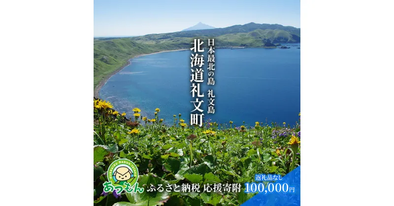 【ふるさと納税】北海道礼文町 寄附のみの応援受付 100,000円コース（返礼品なし 寄附のみ 100000円）