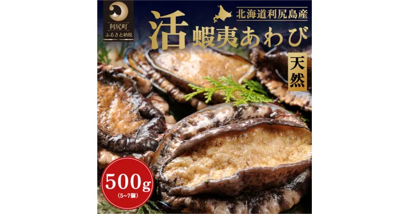 【ふるさと納税】北海道利尻島産 天然〈活〉蝦夷アワビ500g（5～7個）【10月下旬～12月下旬発送】　【魚介類・あわび・アワビ・鮑】　お届け：2023年10月下旬～12月25日頃まで※悪天候により漁ができず、お届けまでお待たせする場合もございますので、予めご了承ください。