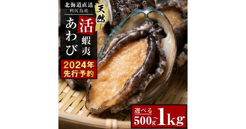 【ふるさと納税】 【2024年先行予約】あわび 北海道 利尻島産 直送！天然 活えぞあわび 選べる500g～1kg 鮑 海鮮 冷蔵 お刺身 魚介 お祝い【福士水産】北海道ふるさと納税 利尻富士町 ふるさと納税 北海道産アワビ 産地直送 活 美味しさに 訳あり 蝦夷あわび