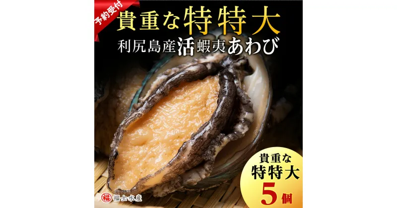 【ふるさと納税】【2025年発送予約】 あわび 北海道 利尻島産 天然活蝦夷あわび 5個＜特特大＞（150g～サイズ）＜福士水産＞北海道ふるさと納税 利尻富士町 ふるさと納税 北海道 海鮮 鮑 あわび えぞアワビ 生きてるアワビ 北海道産アワビ 産地直送 活 美味しさに 訳あり