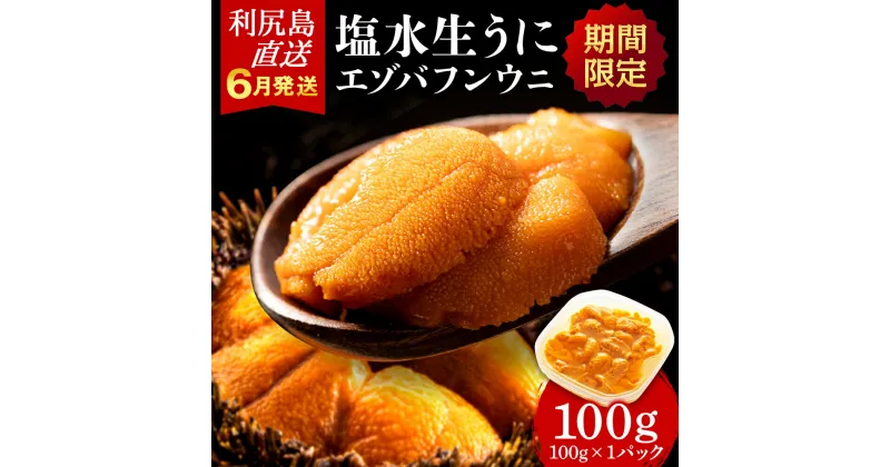 【ふるさと納税】【2025年発送予約】エゾバフンウニ 100g (100g×1パック) ＜利尻漁業協同組合＞ 雲丹 うに北海道ふるさと納税 利尻富士町 北海道 海鮮 北海道 海鮮 うに 生うに 北海道 うに 雲丹 通販 ギフト ウニ 贈答品 贈り物 塩水生うに