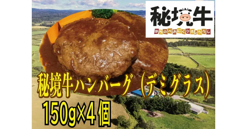 【ふるさと納税】幌延町産 秘境牛ハンバーグ〈デミグラス〉（150g×4個）