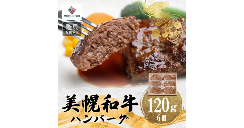 【ふるさと納税】【田村精肉店】美幌和牛ハンバーグ【120g×6個】【配送不可地域：離島】 ハンバーグ 和牛 手軽 簡単 おかず 北海道 美幌町 送料無料 BHRJ010