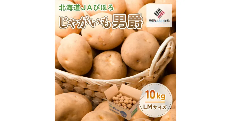 【ふるさと納税】じゃがいも「男爵」10kg じゃがいも イモ いも 芋 野菜 男爵いも 北海道 美幌町 送料無料 BHRG020