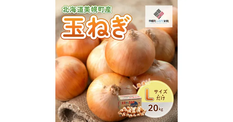 【ふるさと納税】玉ねぎLサイズ・20kg 【 ふるさと納税 人気 おすすめ ランキング たまねぎ 玉ねぎ 玉ネギ タマネギ 玉葱 オニオン 20kg スライス サラダ ハンバーグ 焼き肉 バーベキュー BBQ スープ 国産 野菜 新鮮 北海道 美幌町 送料無料 】 BHRG030