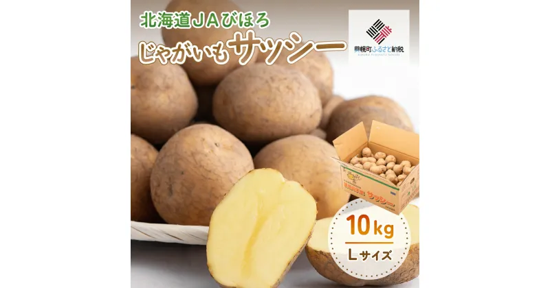 【ふるさと納税】じゃがいも「サッシー」Lサイズ・10kg じゃがいも イモ いも サッシー 野菜 北海道 美幌町 送料無料 BHRG035