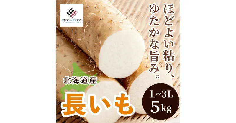 【ふるさと納税】[先行受付]「数量限定」長いも・5kg【配送不可地域：離島】 【 ふるさと納税 おすすめ ランキング 人気 長いも いも 芋 長芋 野菜 とろろ オホーツク 北海道 美幌町 送料無料 】 BHRG037