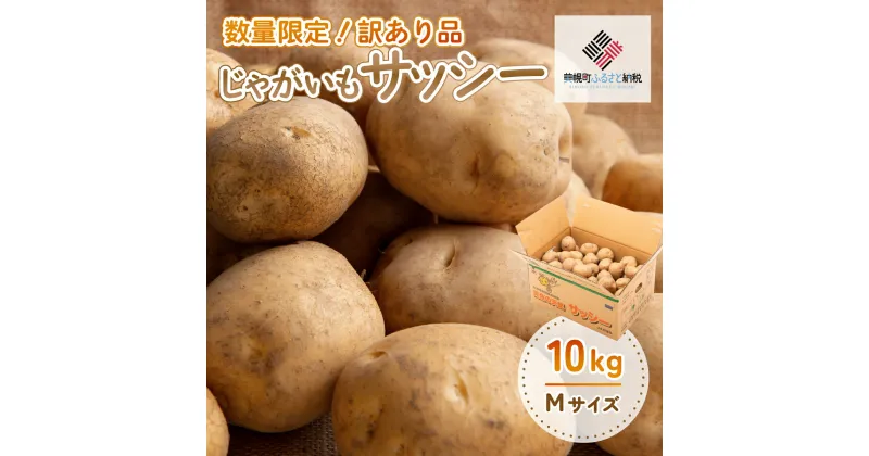 【ふるさと納税】「数量限定訳あり品」じゃがいも「サッシー」Mサイズ・10kg じゃがいも イモ いも サッシー 北海道 美幌町 送料無料 BHRG059