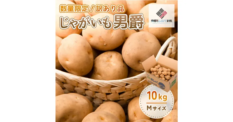 【ふるさと納税】「数量限定訳あり品」じゃがいも「男爵」Mサイズ・10kg じゃがいも イモ いも 男爵いも 北海道 美幌町 送料無料 BHRG061