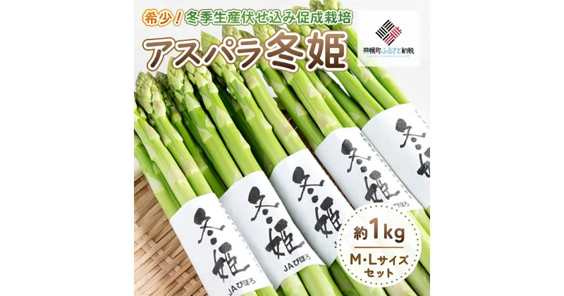 【ふるさと納税】希少!冬期生産伏せ込み促成栽培アスパラ「冬姫」M～L　約1kg【配送不可地域：離島】 アスパラ グリーン 野菜 健康 北海道 美幌町 送料無料 BHRG070